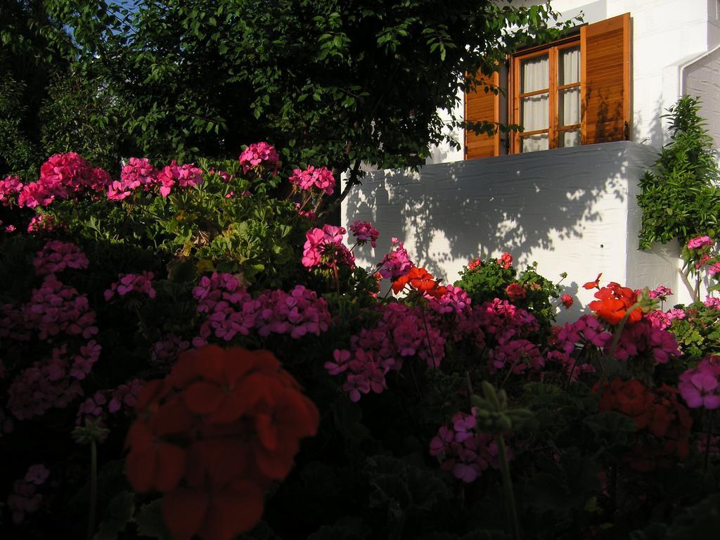 Pension Chanioti Parikia  Exterior photo